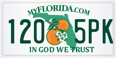 FL license plate 1205PK