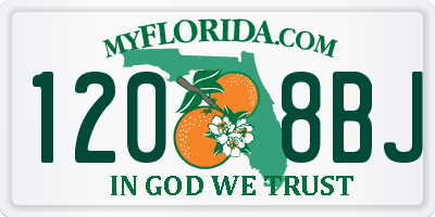 FL license plate 1208BJ