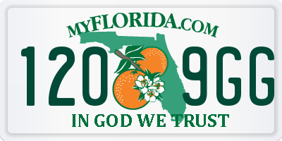 FL license plate 1209GG