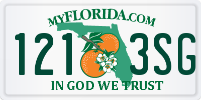 FL license plate 1213SG