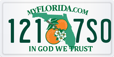 FL license plate 1217SO