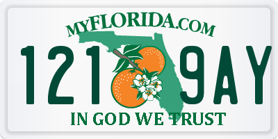 FL license plate 1219AY