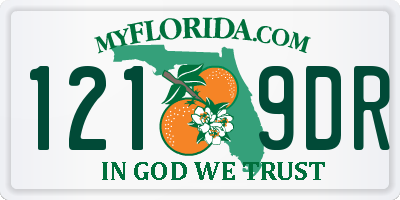 FL license plate 1219DR