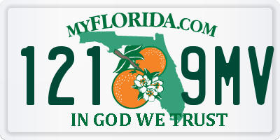 FL license plate 1219MV