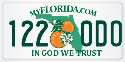 FL license plate 1220DO