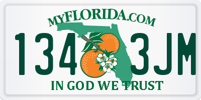 FL license plate 1343JM