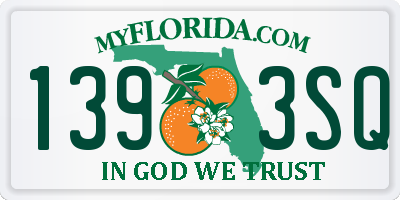 FL license plate 1393SQ