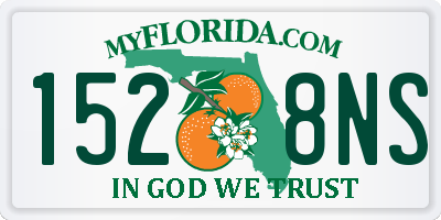 FL license plate 1528NS