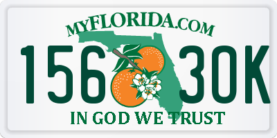 FL license plate 1563OK