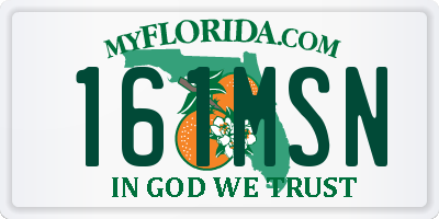 FL license plate 161MSN