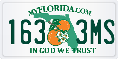 FL license plate 1633MS