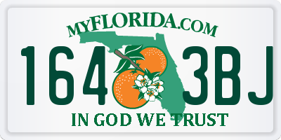 FL license plate 1643BJ