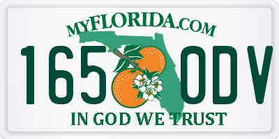 FL license plate 1650DV