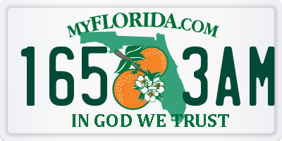 FL license plate 1653AM