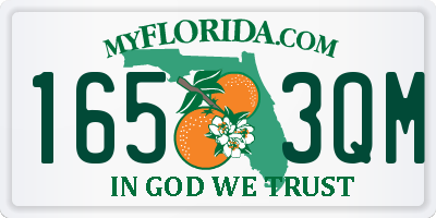 FL license plate 1653QM