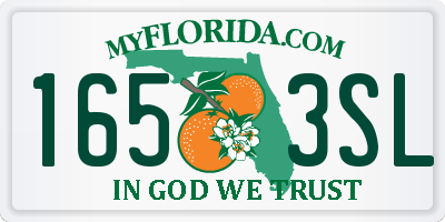 FL license plate 1653SL