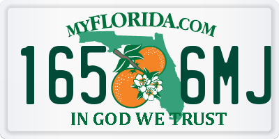 FL license plate 1656MJ
