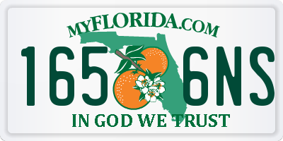 FL license plate 1656NS