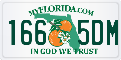 FL license plate 1665DM