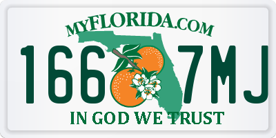 FL license plate 1667MJ