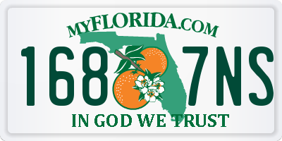 FL license plate 1687NS