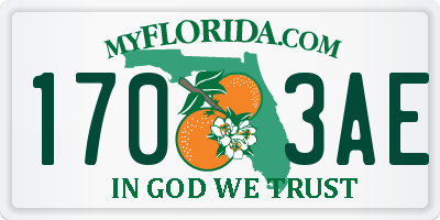 FL license plate 1703AE