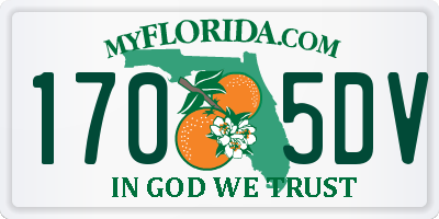 FL license plate 1705DV