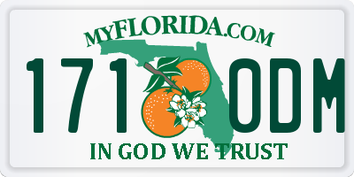 FL license plate 1710DM