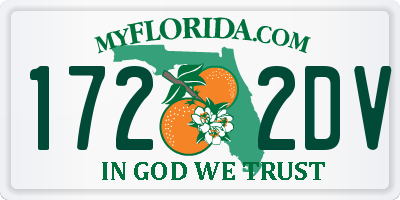 FL license plate 1722DV