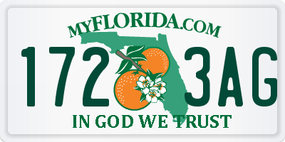 FL license plate 1723AG