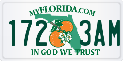 FL license plate 1723AM