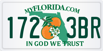 FL license plate 1723BR