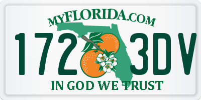 FL license plate 1723DV