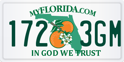 FL license plate 1723GM