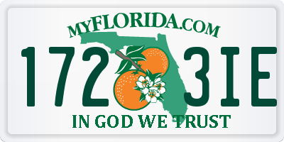 FL license plate 1723IE