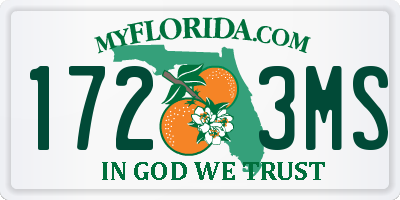 FL license plate 1723MS