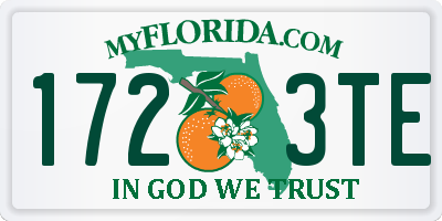 FL license plate 1723TE