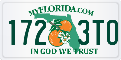 FL license plate 1723TO
