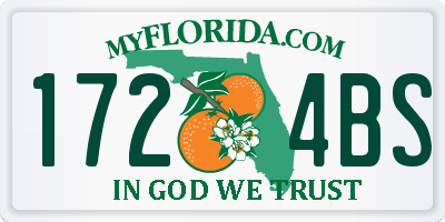 FL license plate 1724BS