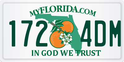 FL license plate 1724DM