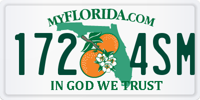 FL license plate 1724SM