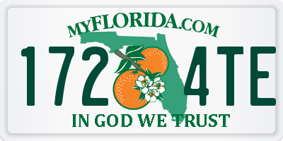 FL license plate 1724TE