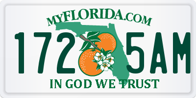 FL license plate 1725AM