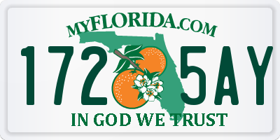 FL license plate 1725AY