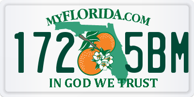 FL license plate 1725BM