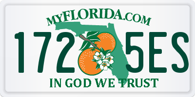 FL license plate 1725ES