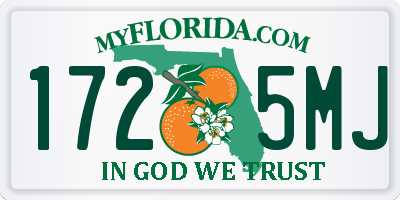 FL license plate 1725MJ
