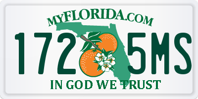 FL license plate 1725MS