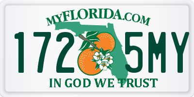FL license plate 1725MY