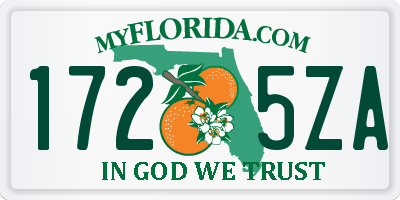 FL license plate 1725ZA
